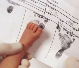 孕妇梦见鸭子什么意思，珠海代怀孕梦到鸭子是生男还是生女？