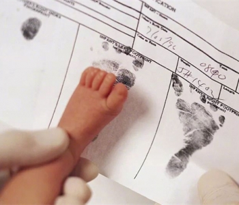 孕妇梦见鸭子什么意思，珠海代怀孕梦到鸭子是生男还是生女？